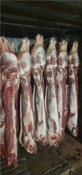 抢肉大战拉开帷幕！我国5月进口猪肉量大涨63%，这些国家瞄准中国市场